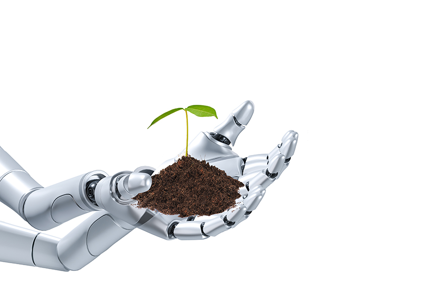 Automatizare solar legume pentru controlul productiei in solarii moderne {{brizy_dc_image_alt imageSrc=