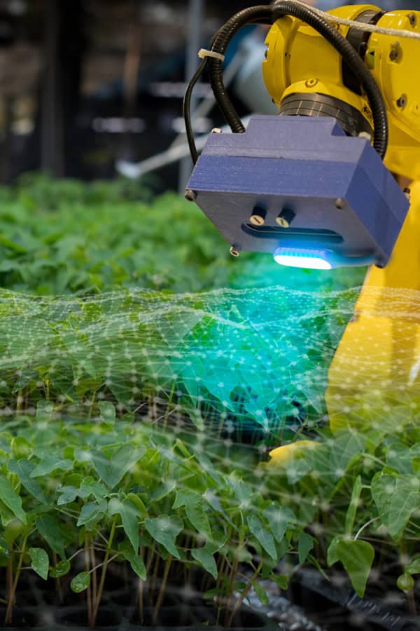 sera automatizata {{brizy_dc_image_alt imageSrc=