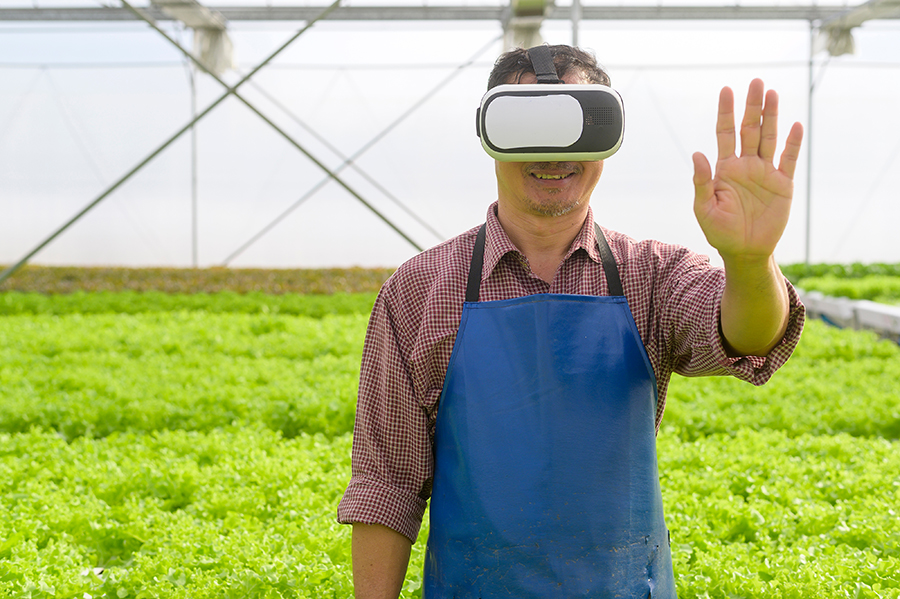 De la proiect la exploatare – construim integral infrastructura unei sere automatizate {{brizy_dc_image_alt imageSrc=