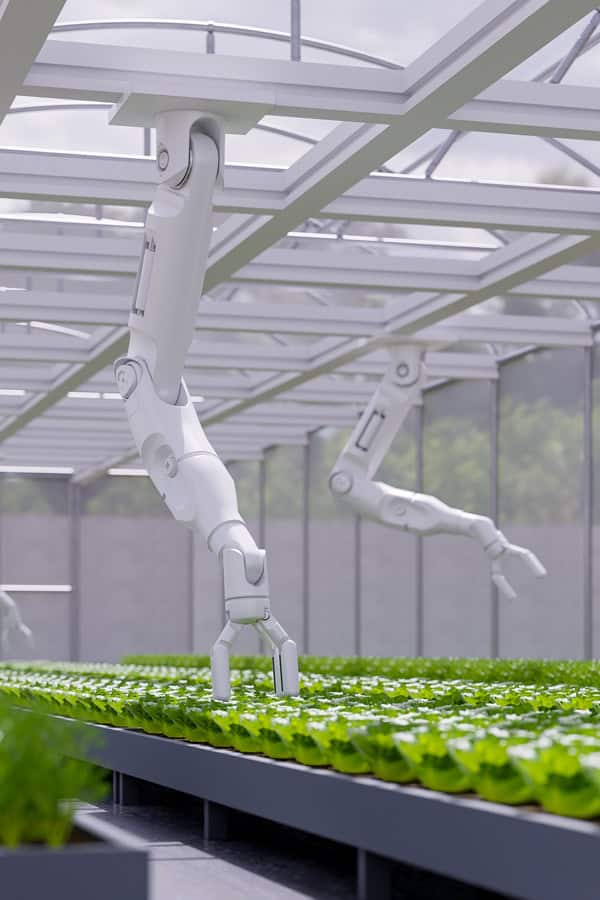 sera automatizata {{brizy_dc_image_alt imageSrc=