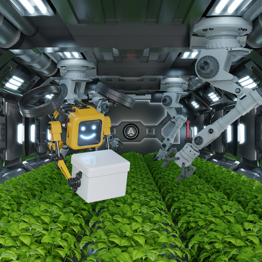 sera automatizata {{brizy_dc_image_alt imageSrc=