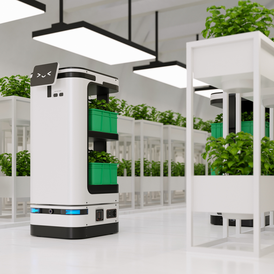 sera automatizata {{brizy_dc_image_alt imageSrc=