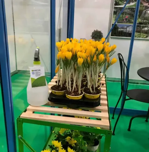 ROMEXPO 2019 EXPO FLOWERS & GARDEN SI CONSTRUCT – AMBIENT EXPO 14-17 MARTIE 2019