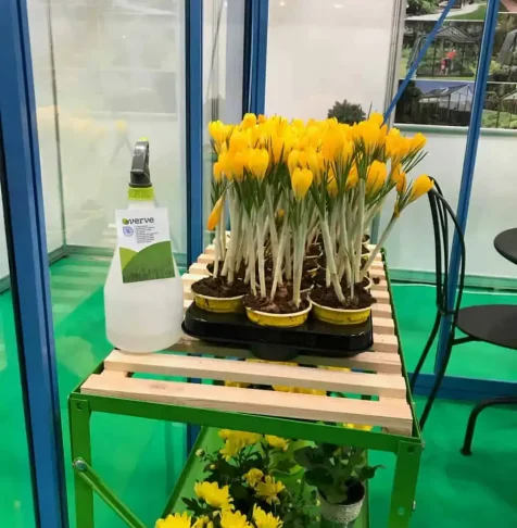 ROMEXPO 2019 EXPO FLOWERS & GARDEN SI CONSTRUCT – AMBIENT EXPO 14-17 MARTIE 2019